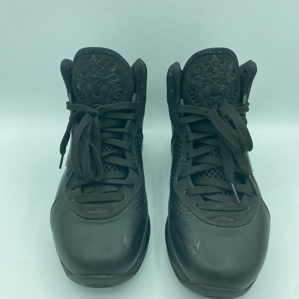 Nike Lebron VIII